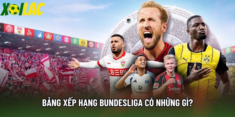 Bảng xếp hạng Bundesliga có những gì? Bảng xếp hạng Bundesliga có những gì?
