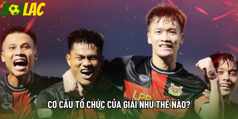 Cơ cấu tổ chức của giải như thế nào?