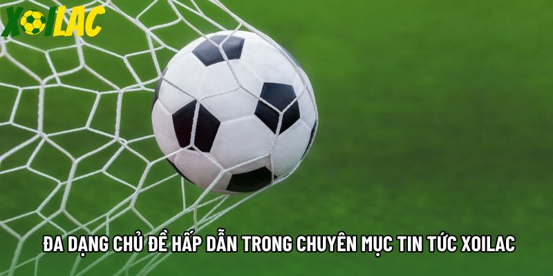 Đa dạng chủ đề hấp dẫn trong chuyên mục tin tức xoilac