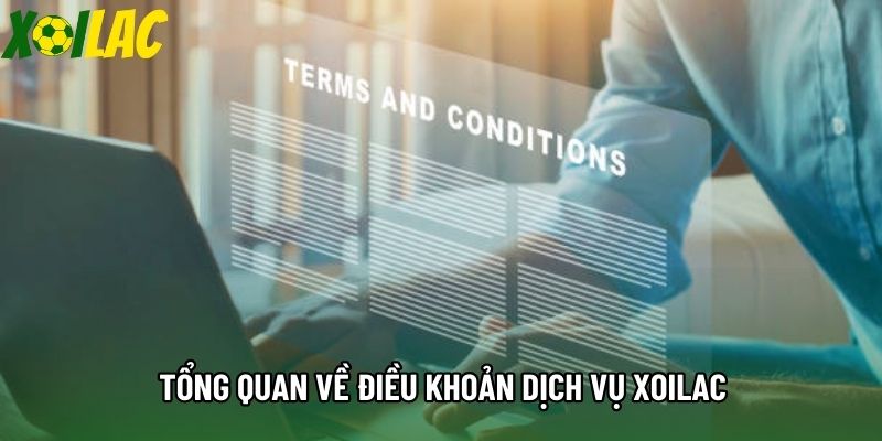 Tổng quan về điều khoản dịch vụ Xoilac Tổng quan về điều khoản dịch vụ Xoilac