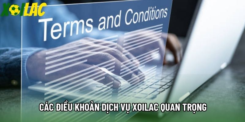 Các điều khoản dịch vụ Xoilac quan trọng Các điều khoản dịch vụ Xoilac quan trọng