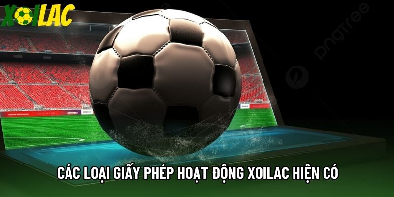 Các loại giấy phép hoạt động Xoilac hiện có Các loại giấy phép hoạt động Xoilac hiện có