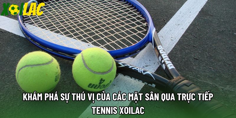 Khám phá sự thú vị của các mặt sân qua trực tiếp tennis xoilac Khám phá sự thú vị của các mặt sân qua trực tiếp tennis xoilac