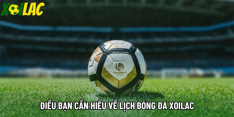 Điều bạn cần hiểu về lịch bóng đá xoilac