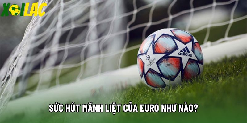 Sức hút mãnh liệt của Euro như nào?