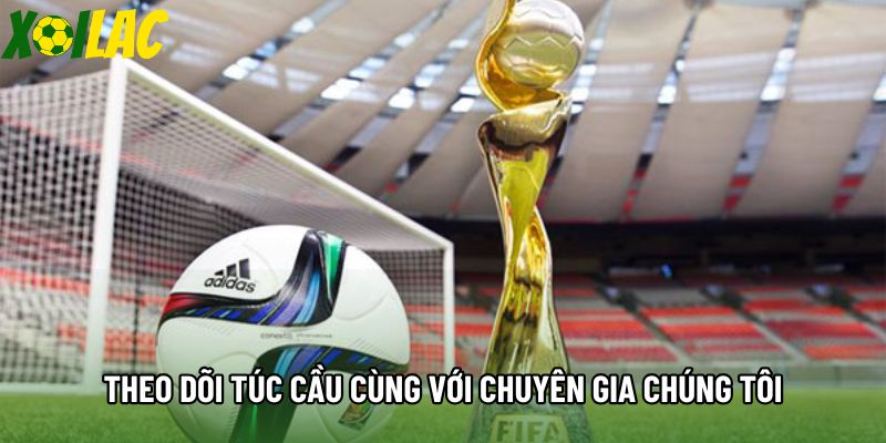 Theo dõi túc cầu cùng với chuyên gia chúng tôi