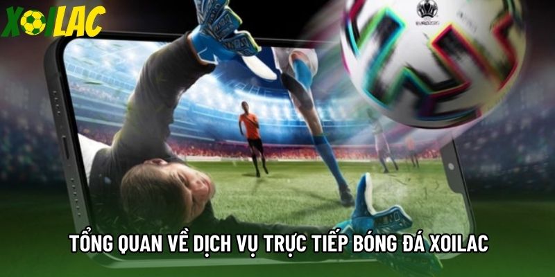 Tổng quan về dịch vụ trực tiếp bóng đá Xoilac