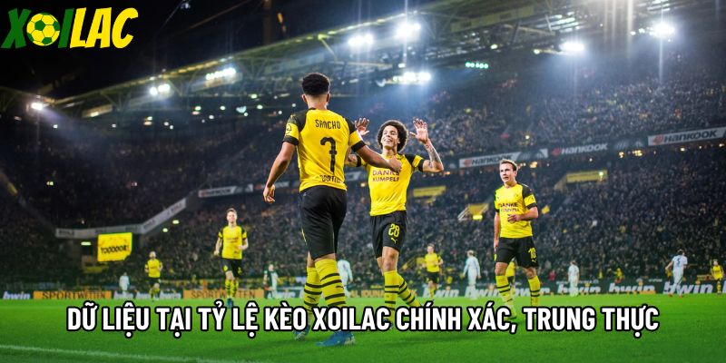 Dữ liệu tại tỷ lệ kèo bóng đá xoilac chính xác, trung thực Dữ liệu tại tỷ lệ kèo bóng đá xoilac chính xác, trung thực