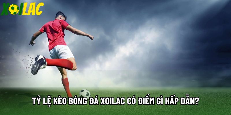 Tỷ lệ kèo bóng đá xoilac có điểm gì hấp dẫn? Tỷ lệ kèo bóng đá xoilac có điểm gì hấp dẫn?