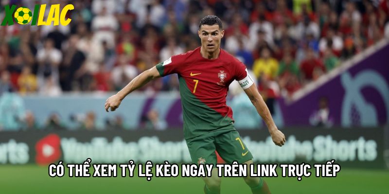 Có thể xem tỷ lệ kèo bóng đá xoilac ngay trên link trực tiếp Có thể xem tỷ lệ kèo bóng đá xoilac ngay trên link trực tiếp