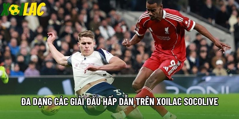 Đa dạng các giải đấu hấp dẫn trên xoilac socolive Đa dạng các giải đấu hấp dẫn trên xoilac socolive