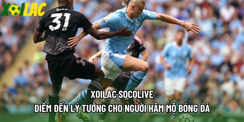 Xoilac Socolive - Điểm Đến Lý Tưởng Cho Người Hâm Mộ Bóng Đá